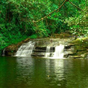 Aldeia Indígena Pataxó Com Praia e Cachoeira - Grupo Privado