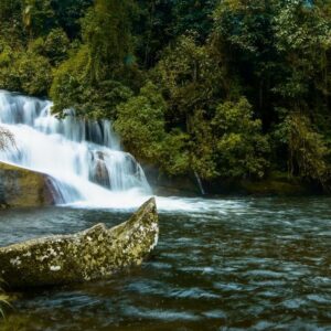 Tour Cachoeiras e Alambiques de Carro